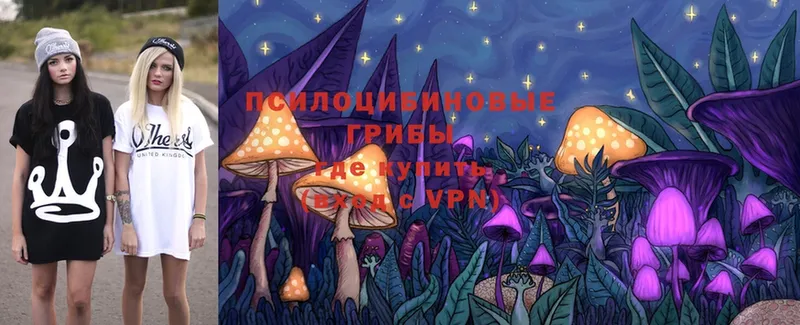 Псилоцибиновые грибы Magic Shrooms  Дубовка 